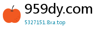 959dy.com